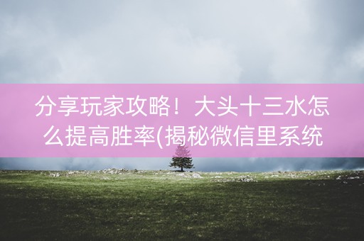 分享玩家攻略！大头十三水怎么提高胜率(揭秘微信里系统发好牌)