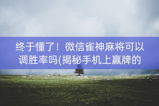终于懂了！微信雀神麻将可以调胜率吗(揭秘手机上赢牌的技巧)