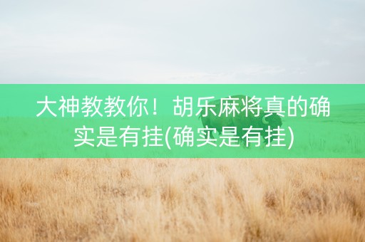 大神教教你！胡乐麻将真的确实是有挂(确实是有挂)