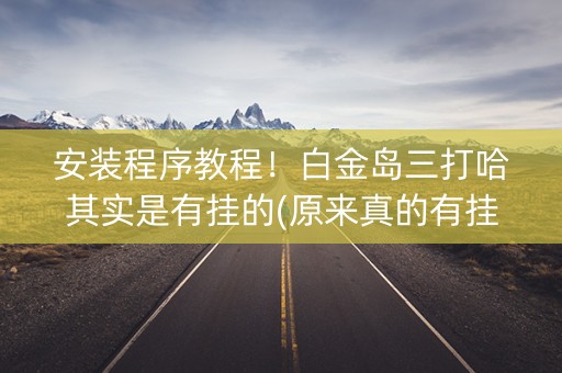 安装程序教程！白金岛三打哈其实是有挂的(原来真的有挂)