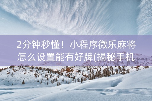 2分钟秒懂！小程序微乐麻将怎么设置能有好牌(揭秘手机上助赢神器)