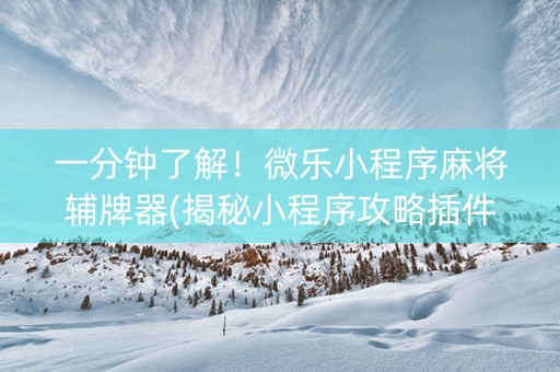 一分钟了解！微乐小程序麻将辅牌器(揭秘小程序攻略插件)