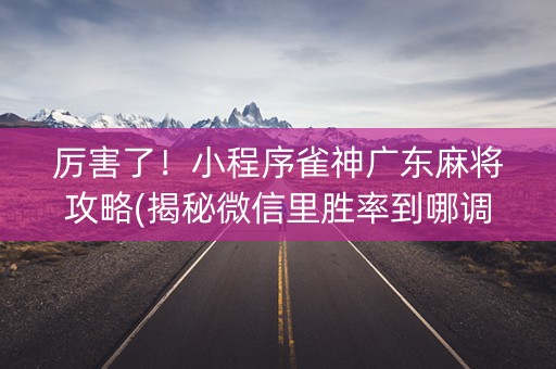 厉害了！小程序雀神广东麻将攻略(揭秘微信里胜率到哪调)