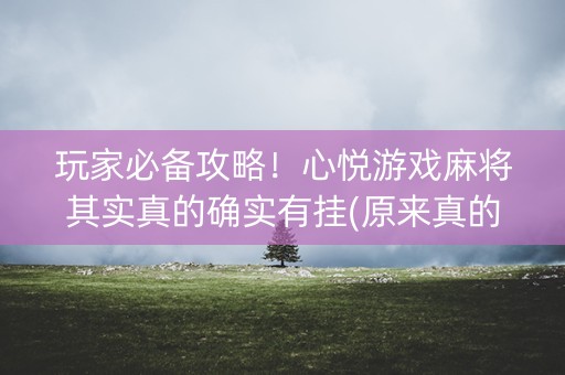 玩家必备攻略！心悦游戏麻将其实真的确实有挂(原来真的有挂)