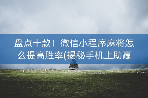 盘点十款！微信小程序麻将怎么提高胜率(揭秘手机上助赢软件)
