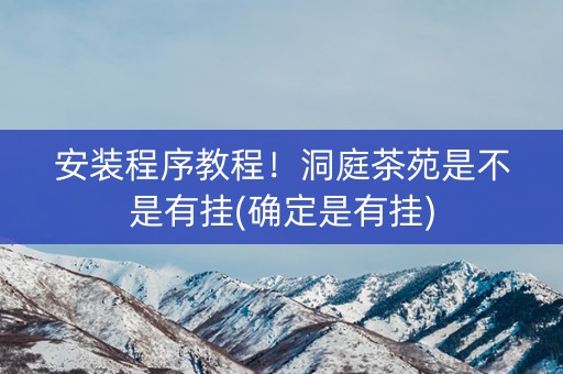 安装程序教程！洞庭茶苑是不是有挂(确定是有挂)