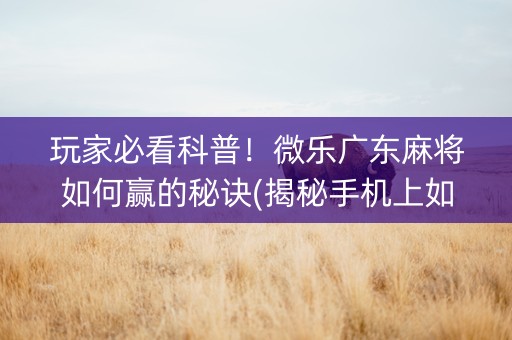 玩家必看科普！微乐广东麻将如何赢的秘诀(揭秘手机上如何让牌变好)