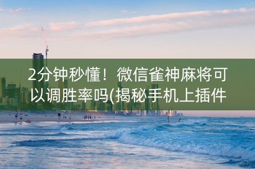 2分钟秒懂！微信雀神麻将可以调胜率吗(揭秘手机上插件下载)