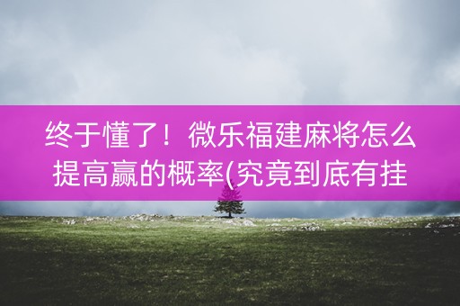 终于懂了！微乐福建麻将怎么提高赢的概率(究竟到底有挂吗)