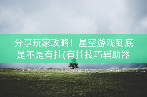 分享玩家攻略！星空游戏到底是不是有挂(有挂技巧辅助器)