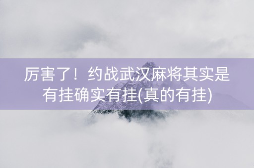 厉害了！约战武汉麻将其实是有挂确实有挂(真的有挂)