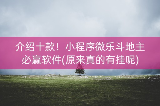 介绍十款！小程序微乐斗地主必赢软件(原来真的有挂呢)