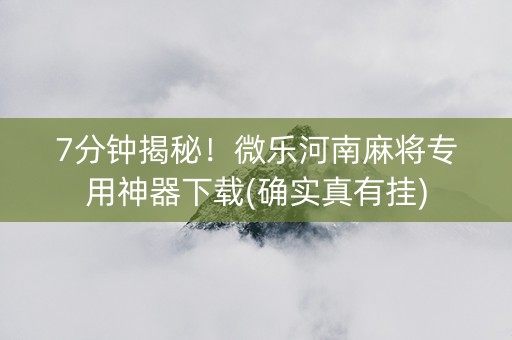 7分钟揭秘！微乐河南麻将专用神器下载(确实真有挂)