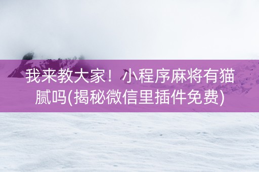 我来教大家！小程序麻将有猫腻吗(揭秘微信里插件免费)