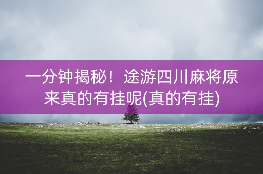 一分钟揭秘！途游四川麻将原来真的有挂呢(真的有挂)