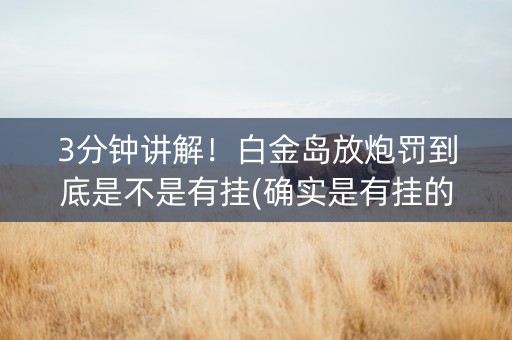 3分钟讲解！白金岛放炮罚到底是不是有挂(确实是有挂的)