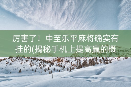厉害了！中至乐平麻将确实有挂的(揭秘手机上提高赢的概率)