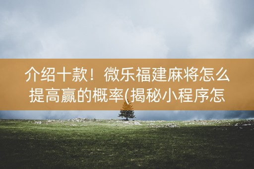 介绍十款！微乐福建麻将怎么提高赢的概率(揭秘小程序怎么容易赢)