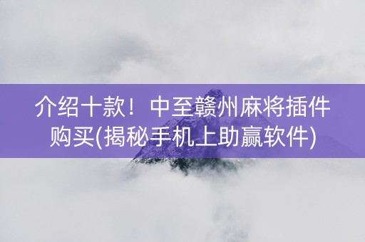 介绍十款！中至赣州麻将插件购买(揭秘手机上助赢软件)