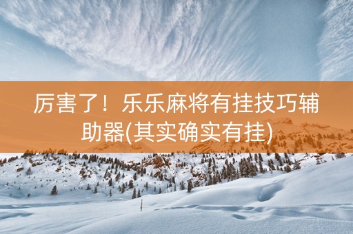 厉害了！乐乐麻将有挂技巧辅助器(其实确实有挂)