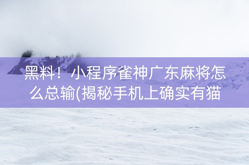 黑料！小程序雀神广东麻将怎么总输(揭秘手机上确实有猫腻)