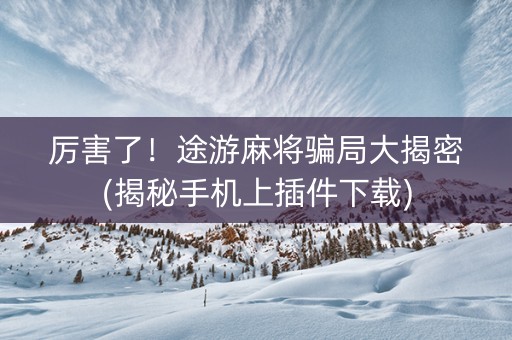 厉害了！途游麻将骗局大揭密(揭秘手机上插件下载)