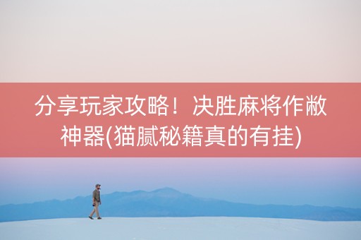 分享玩家攻略！决胜麻将作敝神器(猫腻秘籍真的有挂)