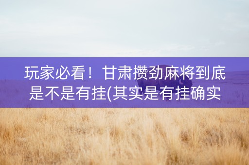 玩家必看！甘肃攒劲麻将到底是不是有挂(其实是有挂确实有挂)