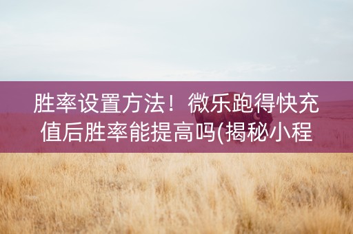 胜率设置方法！微乐跑得快充值后胜率能提高吗(揭秘小程序确实有猫腻)