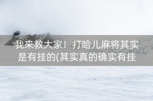 我来教大家！打哈儿麻将其实是有挂的(其实真的确实有挂)