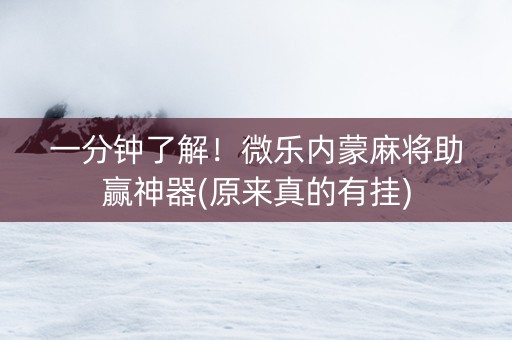 一分钟了解！微乐内蒙麻将助赢神器(原来真的有挂)