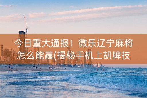今日重大通报！微乐辽宁麻将怎么能赢(揭秘手机上胡牌技巧)