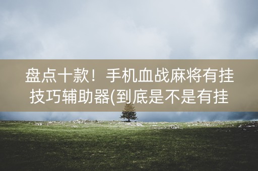 盘点十款！手机血战麻将有挂技巧辅助器(到底是不是有挂)