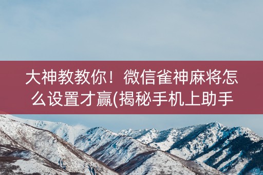 大神教教你！微信雀神麻将怎么设置才赢(揭秘手机上助手软件)
