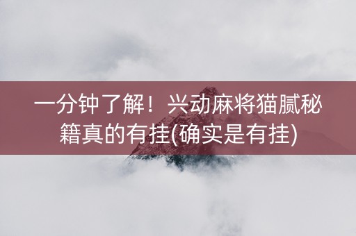 一分钟了解！兴动麻将猫腻秘籍真的有挂(确实是有挂)