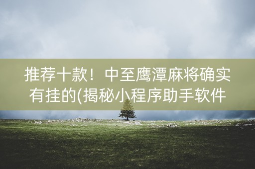 推荐十款！中至鹰潭麻将确实有挂的(揭秘小程序助手软件)