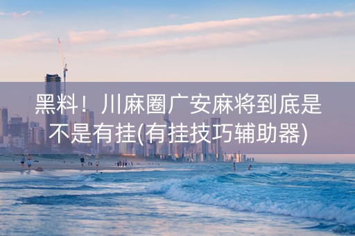 黑料！川麻圈广安麻将到底是不是有挂(有挂技巧辅助器)
