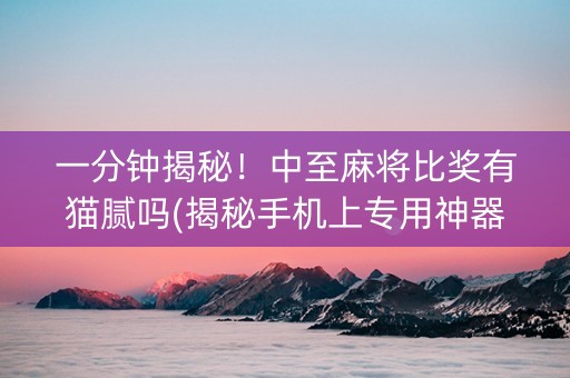 一分钟揭秘！中至麻将比奖有猫腻吗(揭秘手机上专用神器)