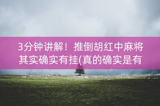 3分钟讲解！推倒胡红中麻将其实确实有挂(真的确实是有挂)