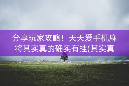 分享玩家攻略！天天爱手机麻将其实真的确实有挂(其实真的有挂)