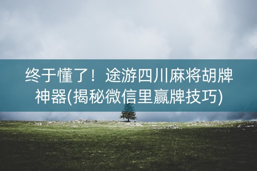 终于懂了！途游四川麻将胡牌神器(揭秘微信里赢牌技巧)