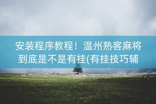 安装程序教程！温州熟客麻将到底是不是有挂(有挂技巧辅助器)