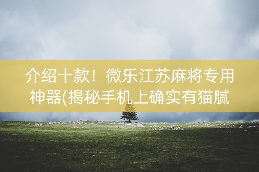 介绍十款！微乐江苏麻将专用神器(揭秘手机上确实有猫腻)