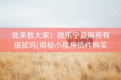 我来教大家！微乐宁夏麻将有猫腻吗(揭秘小程序插件购买)