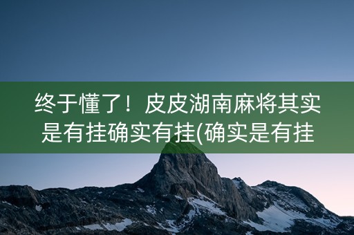 终于懂了！皮皮湖南麻将其实是有挂确实有挂(确实是有挂的)