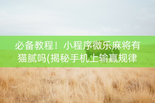 必备教程！小程序微乐麻将有猫腻吗(揭秘手机上输赢规律)