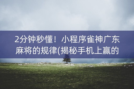 2分钟秒懂！小程序雀神广东麻将的规律(揭秘手机上赢的诀窍)