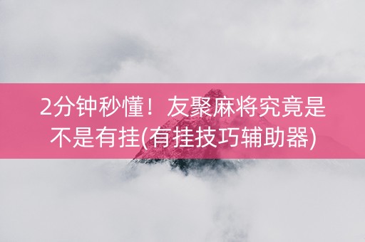2分钟秒懂！友聚麻将究竟是不是有挂(有挂技巧辅助器)
