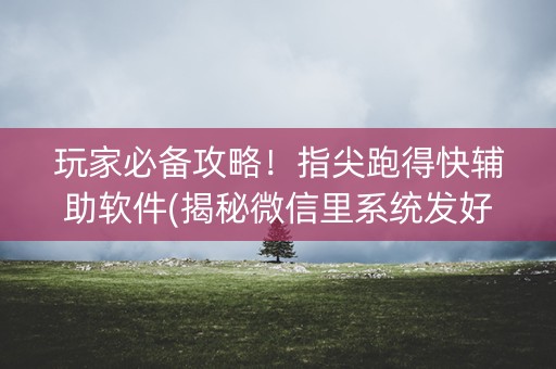 玩家必备攻略！指尖跑得快辅助软件(揭秘微信里系统发好牌)