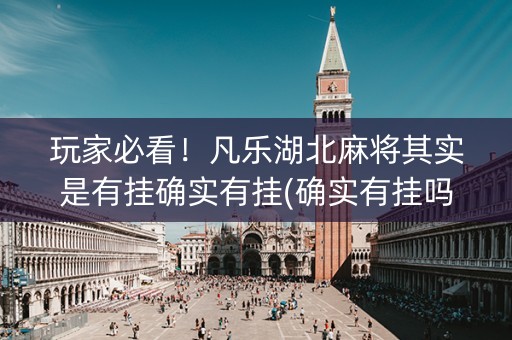 玩家必看！凡乐湖北麻将其实是有挂确实有挂(确实有挂吗)